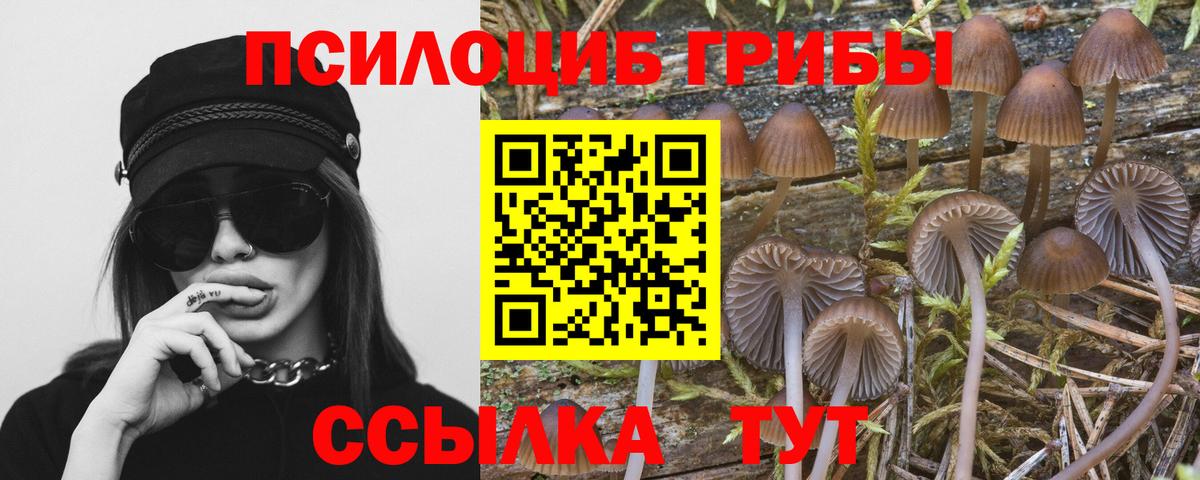 Мыски  Псилоцибиновые грибы Psilocybine cubensis  Вход с VPN  Псилоцибиновые грибы ЛСД 